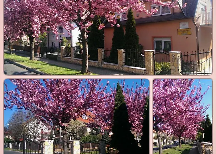 Szecsenyi *